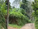 Pala - Ponkunnam Road ,  25 Cent Plot For Sale