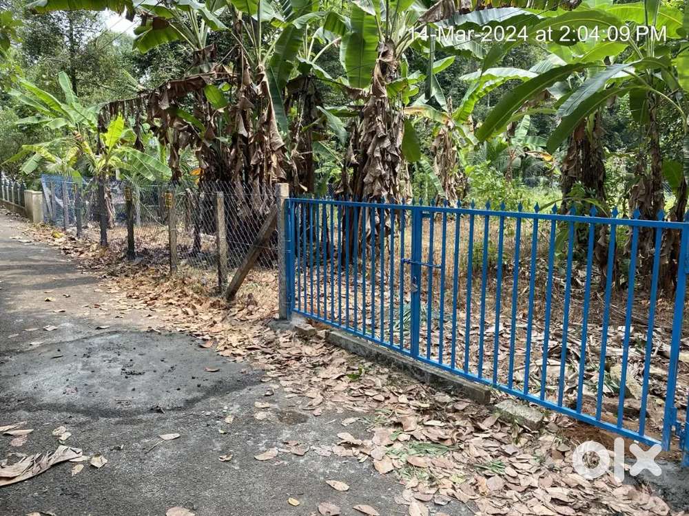 Plot for sale near manarcadu Ettumanoor bypass road