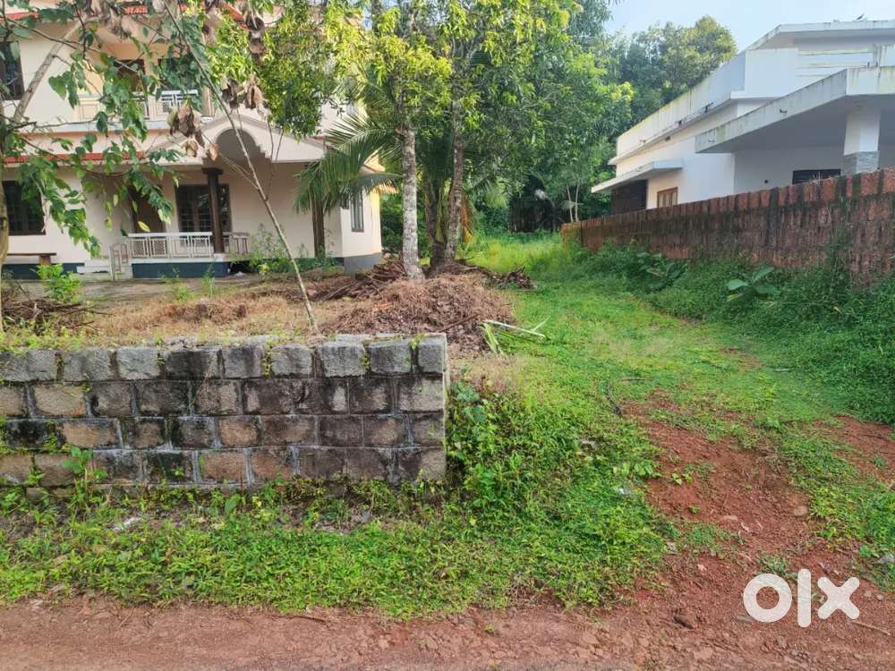 വീട്ന് പറ്റിയ 13 സെൻ്റ് സ്ഥലം