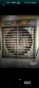 Dessert air cooler