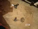 Cycle gear