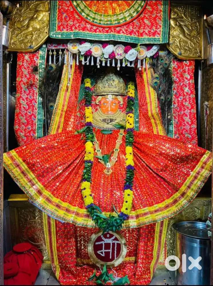 Only family no. Students