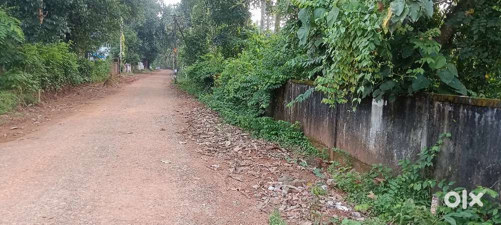 House plots for sale ijk near avittathur