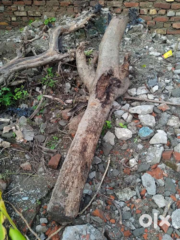 Rishikesh Shyampur Gari Maychak near T-Point