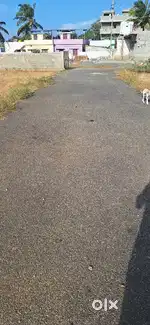 சுற்றிலும் வீடுகள் நிறைந்துள்ள பகுதி