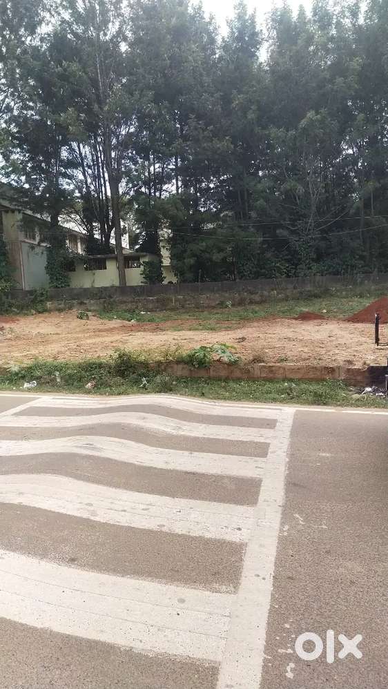 Polt for sale near Yelagiri busstand