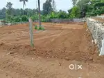 Silver spring Villas- Kuruppampady House Plot.