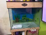 Fish tank good condition