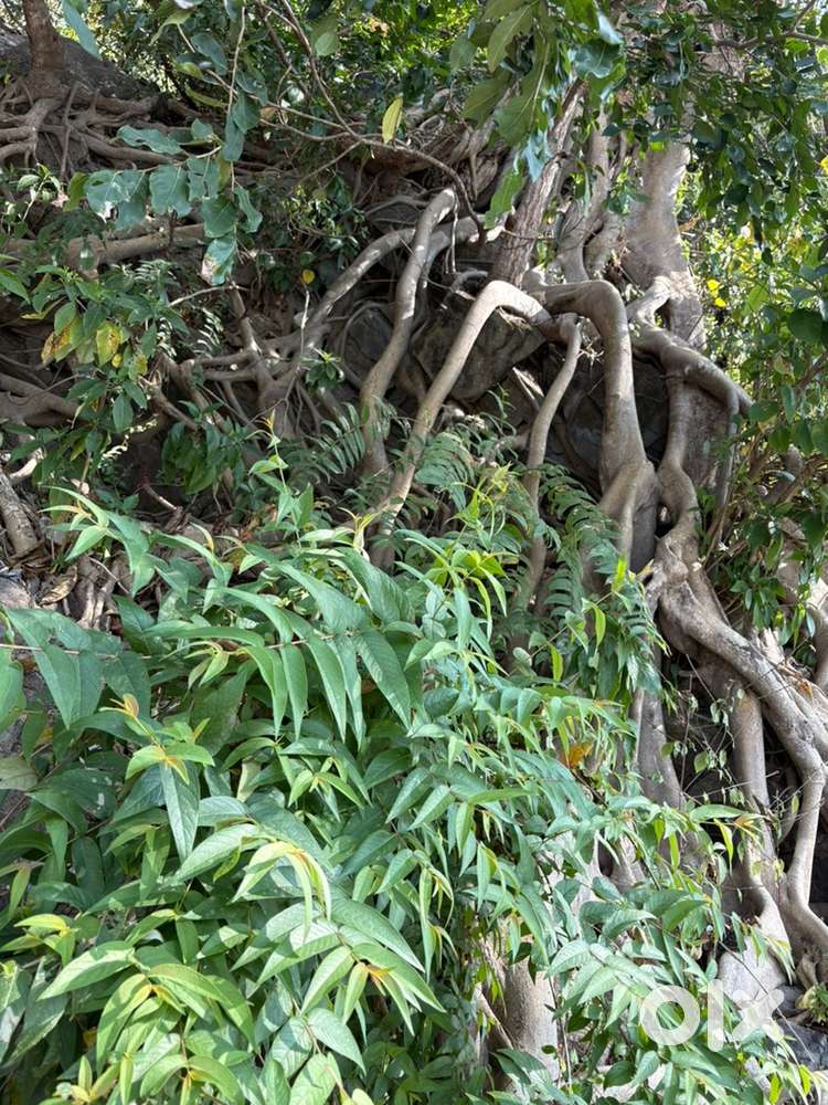 Sector 5 new moradabad