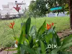 Ansal Riverdale villa plot Kochi