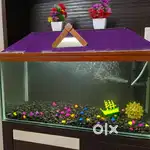 Aquarium 2feet