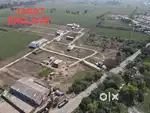 Buy 200 yds Plot @6500 Devigarh Road Patiala CHEAPEST PRICE IN PATIALA