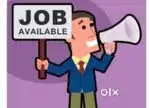 Fresher and experienced