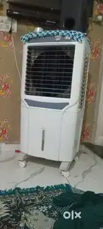 Bast condition 1 year old