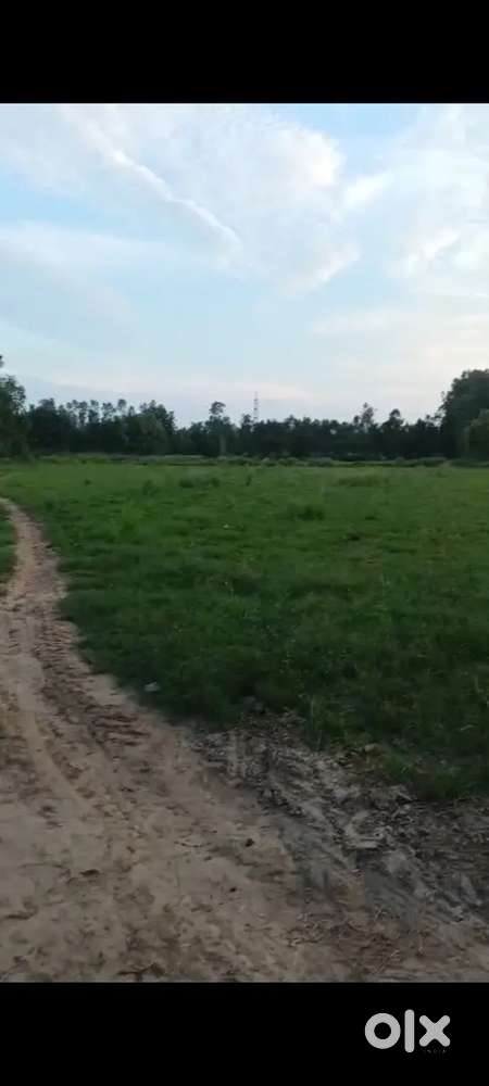 एग्रीकल्चर लैंड