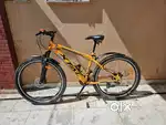 29 Inch Cycle