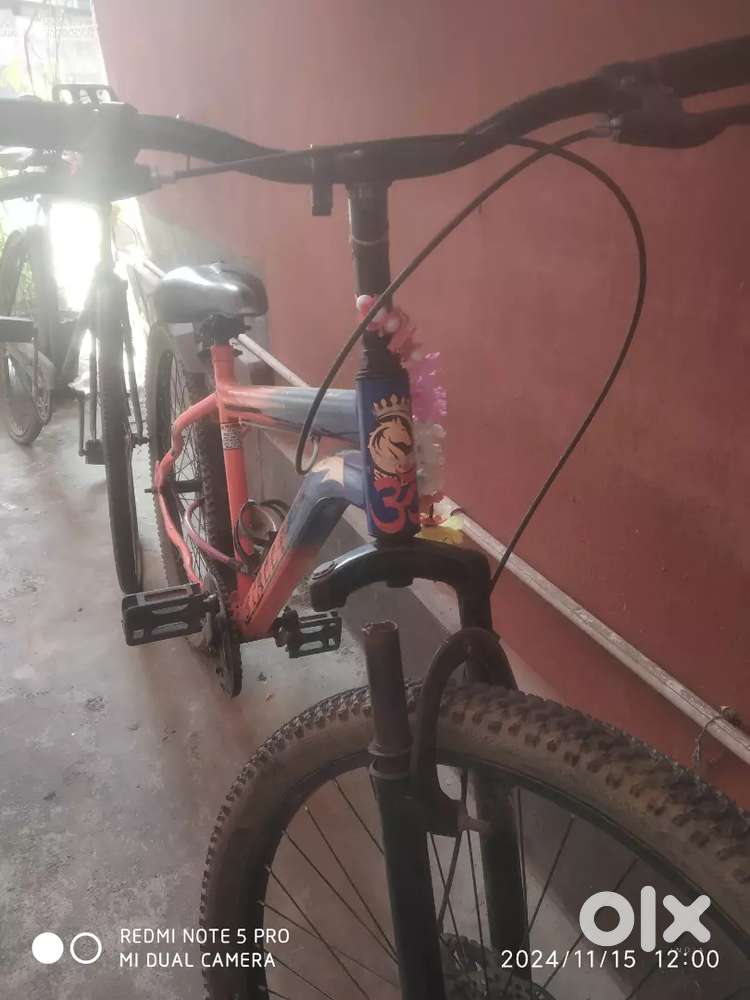 Cycle for sale