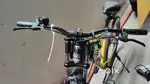 CAYA 29 DOUBLE CROWN cycle
