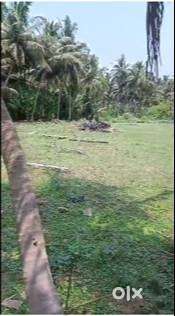 80 Cent Land for Sale in Othakalmandabam Area- Cent3.25Lakh