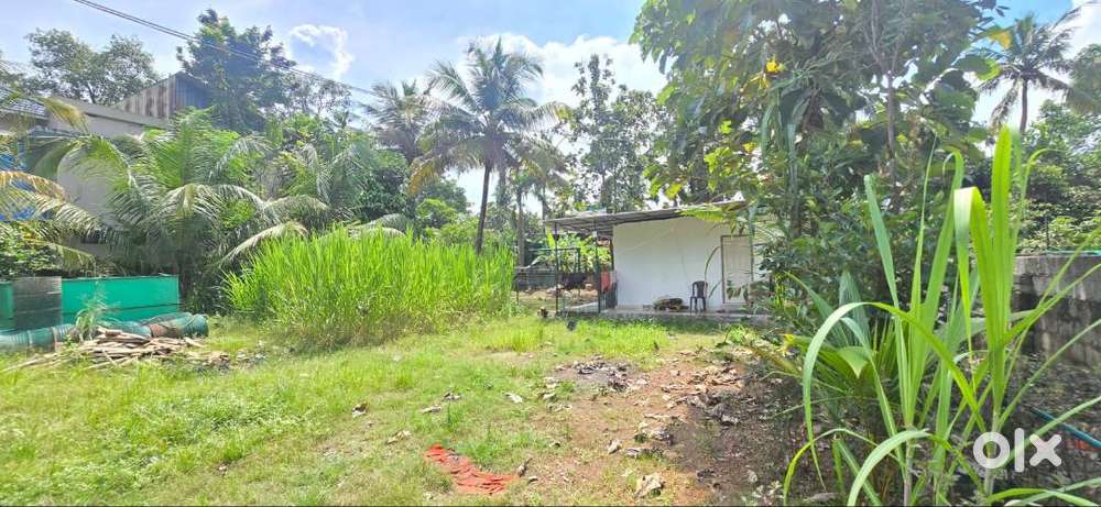 Residential land for sale Vazhakala