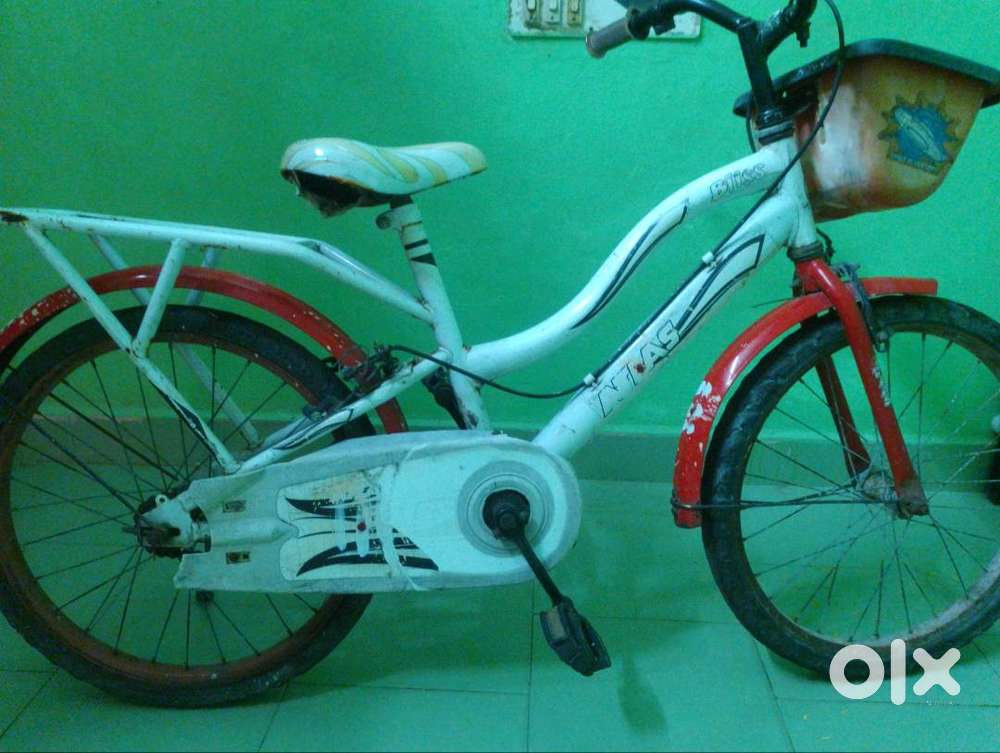 Fire fox , hero cycle , 2years , both gender