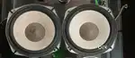 Sony speaker