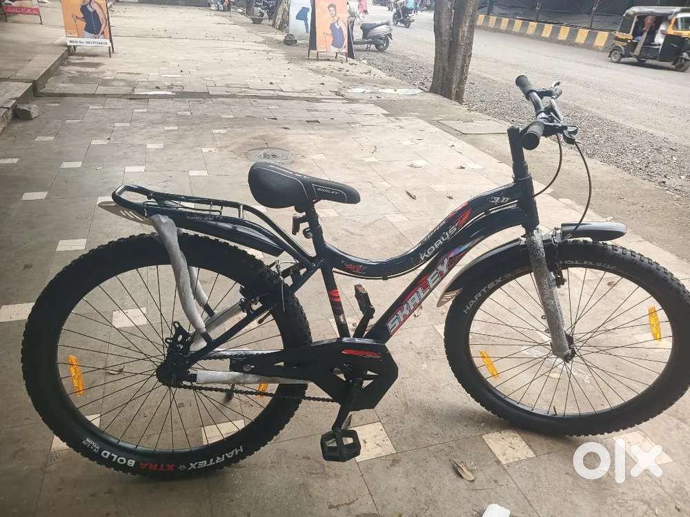 Skaley bikes