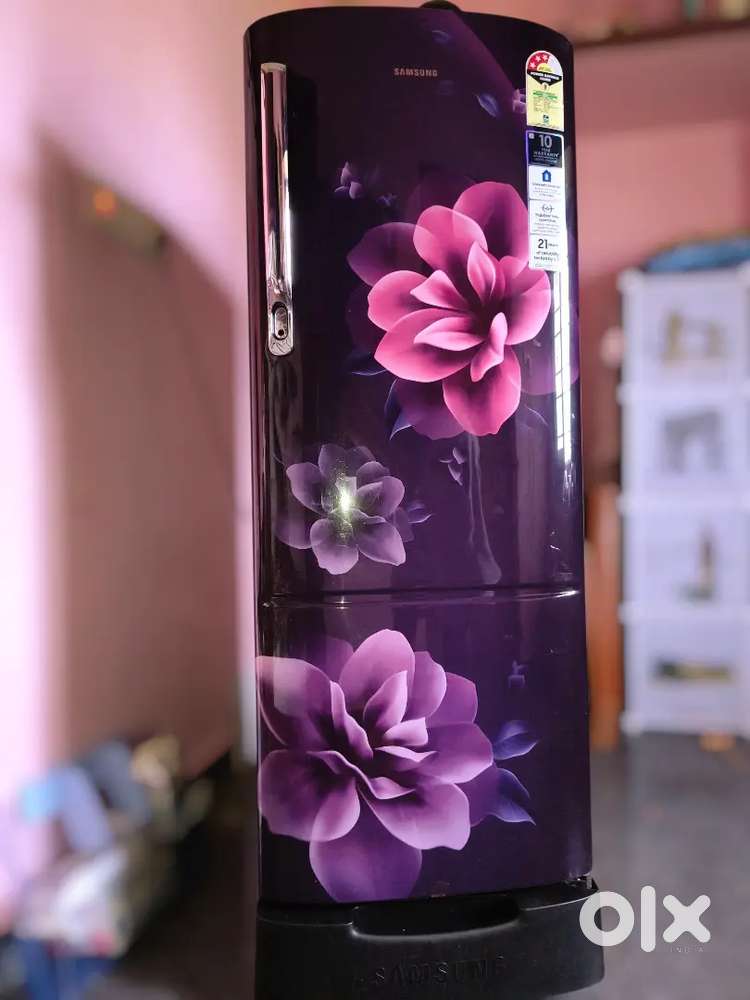 223 L Stylish Designed Single Door Refrigerator RR24C2823CR