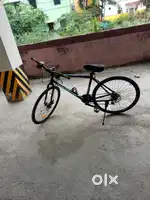I'll sale my cycle 29 inch