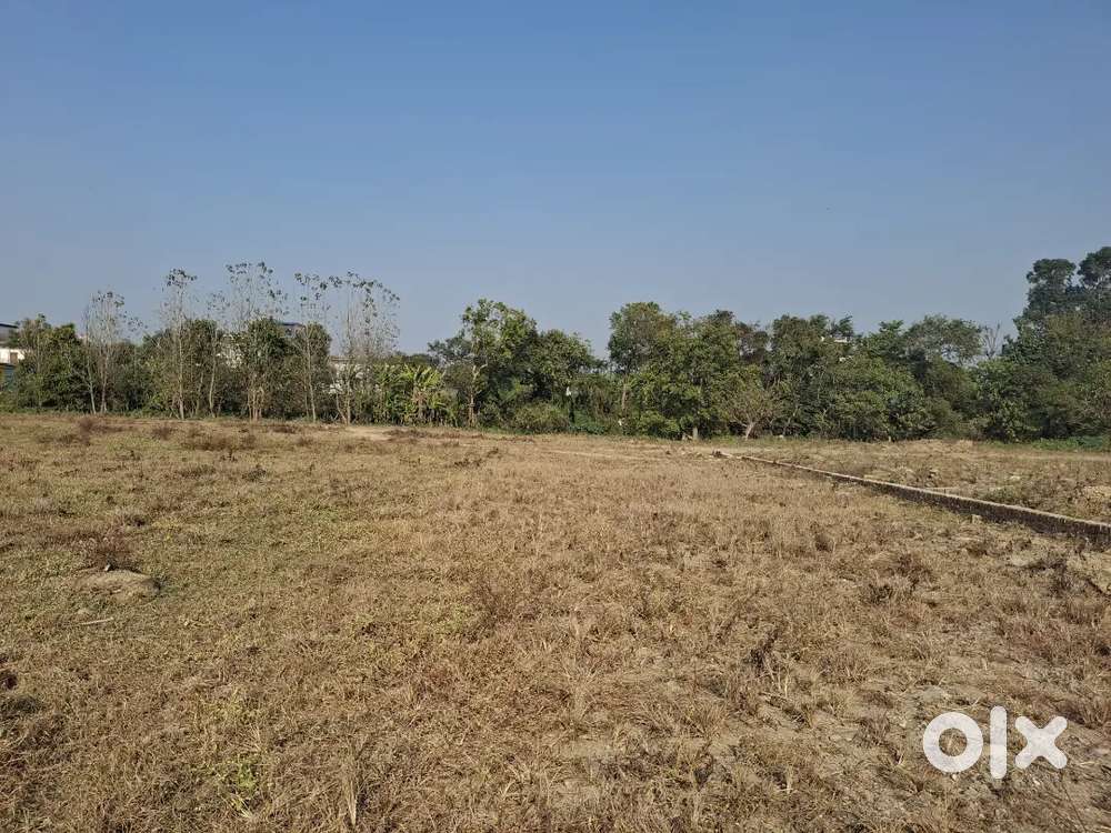 Plot For Sale in Badowala