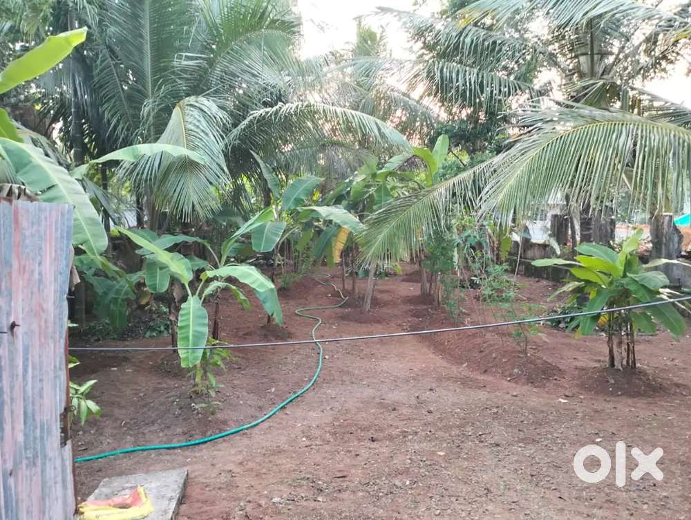 Plot for sale 10 cent square