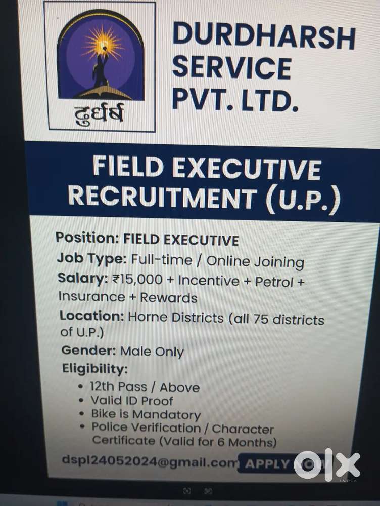 Feeld marketing executive