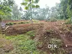 Ayarkuntham.pallicathodu.rutil.15.cent.houseplot.centinu.55000