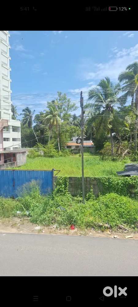 Chaka junction near 29 cent for sale