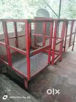 Kennel Boy wanted for taking care of DOGs