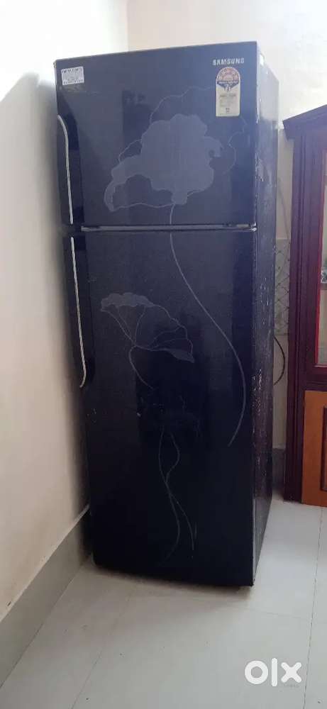 Samsung double door fridge