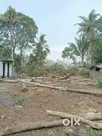 ചേർത്തല തിരുവിഴ മഹാദേവക്ഷേത്രത്തിന്സമീപം 16 സെന്റ് വസ്തു വിൽപ്പനക്ക്.