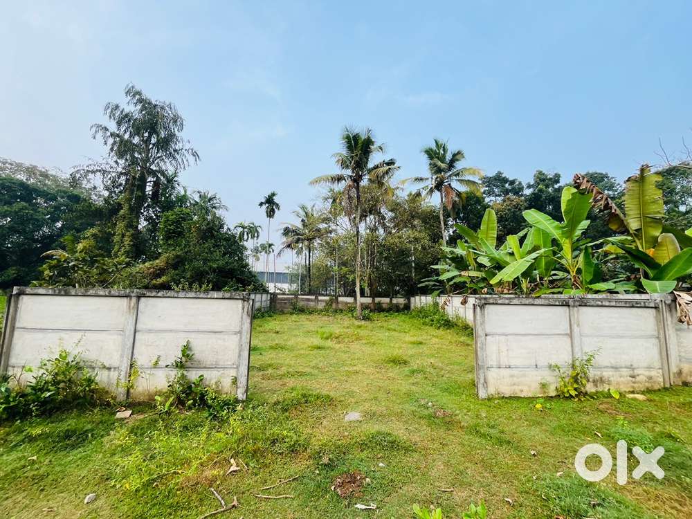 5 Cent House plot for sale