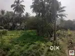 Farmland for sale in Attappadi, Palakkad