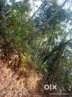 A prominent plot 20 cent very near to kannur airport main road access