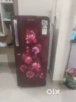 Fridge/ Refrigerator