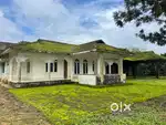 41 ACRE TEA ESTATE WITH BUNGALOW