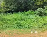 Plot for sale