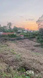 22 CENT RESIDENTIAL PLOT FOR SALE IN MANGANAM