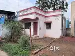 Housing board amleshwar