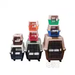 Pet Flight Carrier