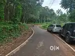 Kothamangalam pothanicad 5 acre 50 cent for sale