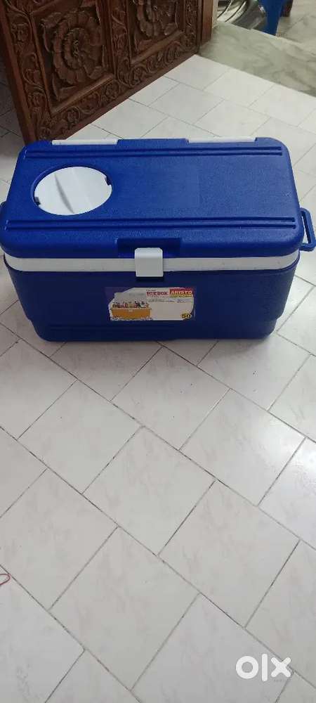 Ice Box 50 kg