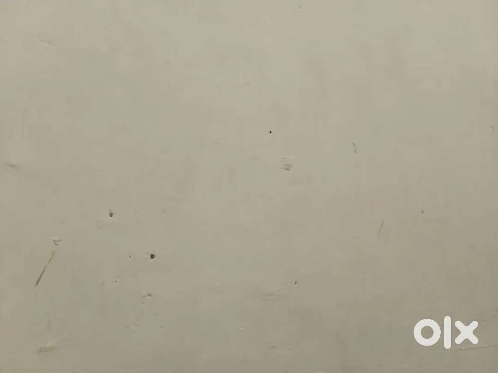 Want a partner who can live with me in ghatkopar east