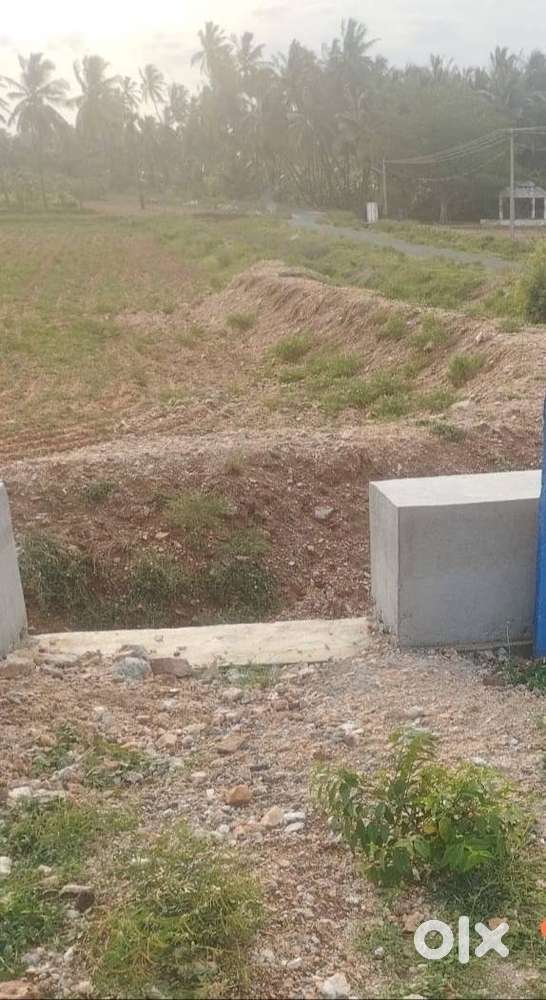 North & East Face Site